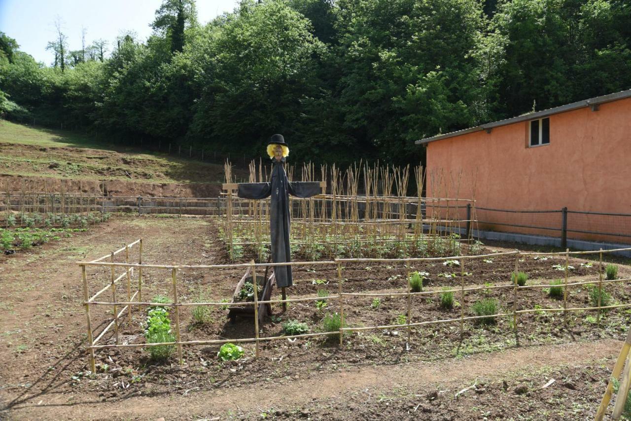 帕莱斯特里纳Agriturismo Casale Pepe别墅 外观 照片