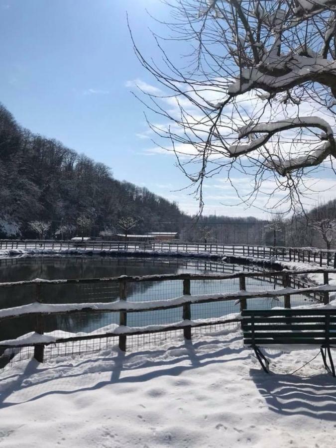 帕莱斯特里纳Agriturismo Casale Pepe别墅 外观 照片